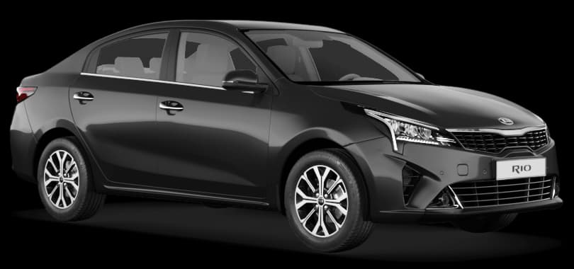 Rio в цвете