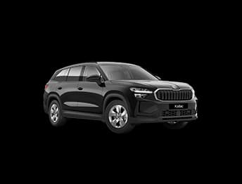 Kodiaq New в цвете