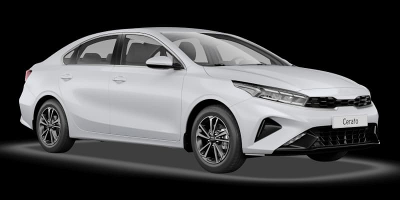 Cerato в цвете