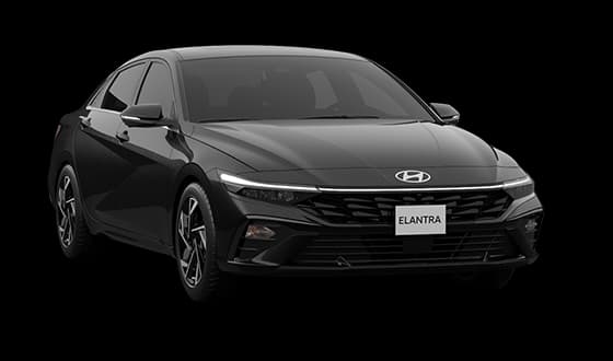 Elantra в цвете