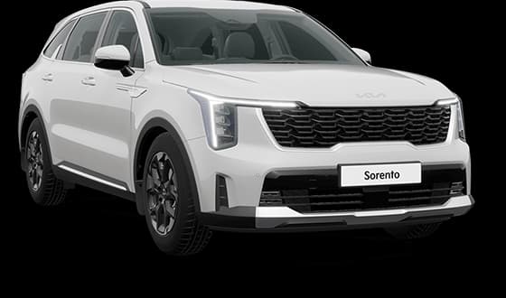 Sorento в цвете